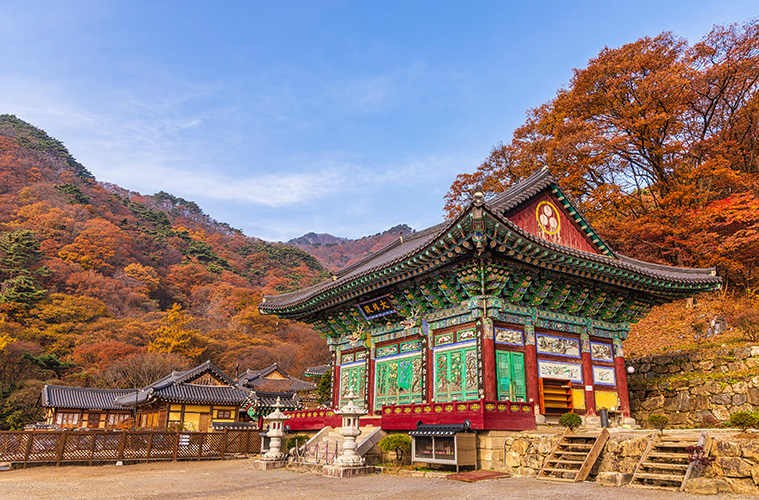 용문사